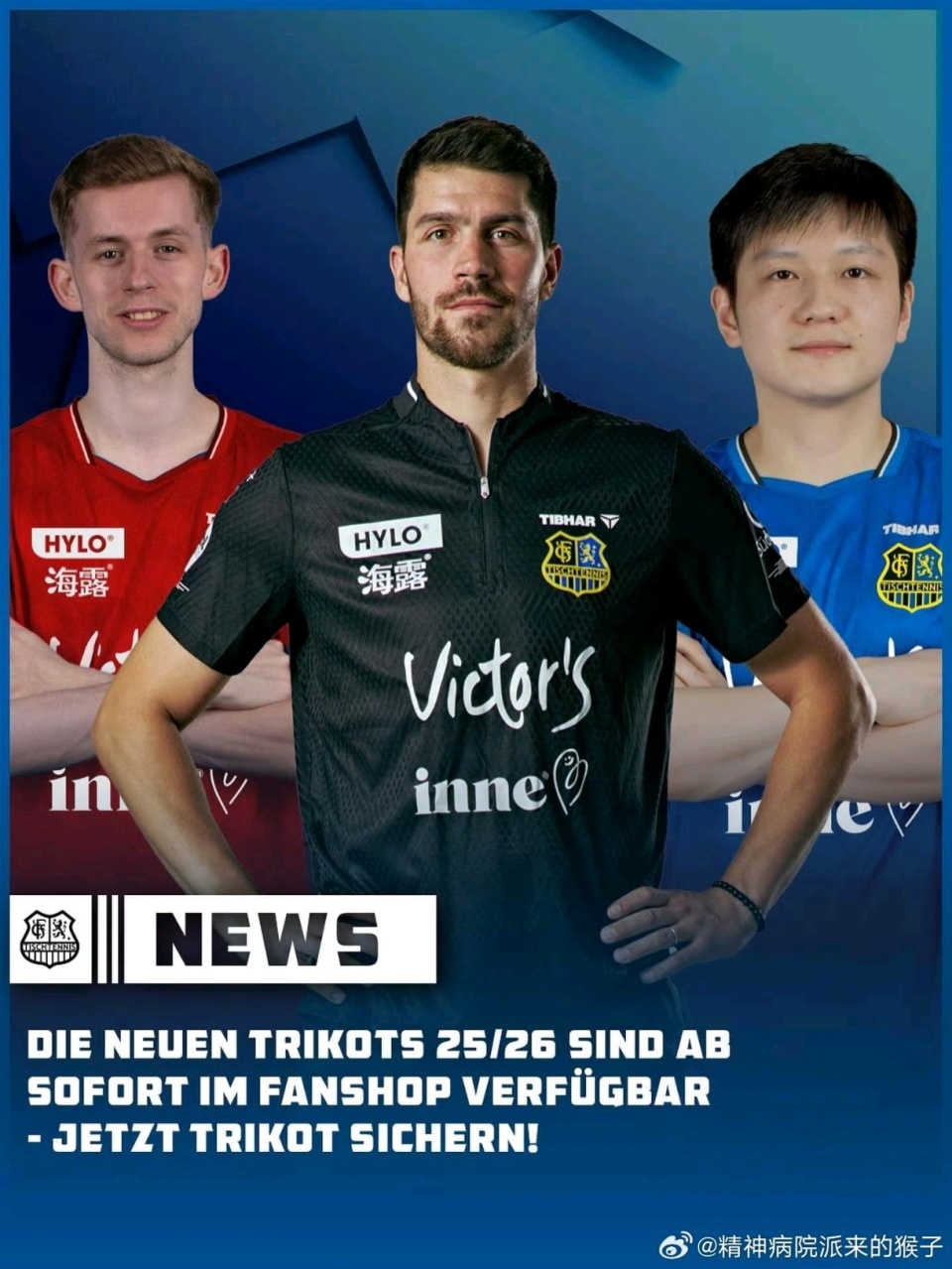 官方宣布樊, 中国乒协副 官方宣布樊, 中国乒协副