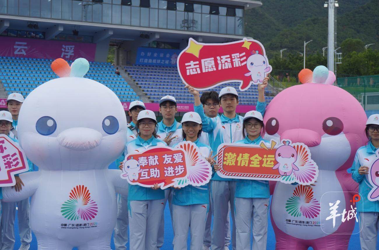 关注, 类别 关注, 类别